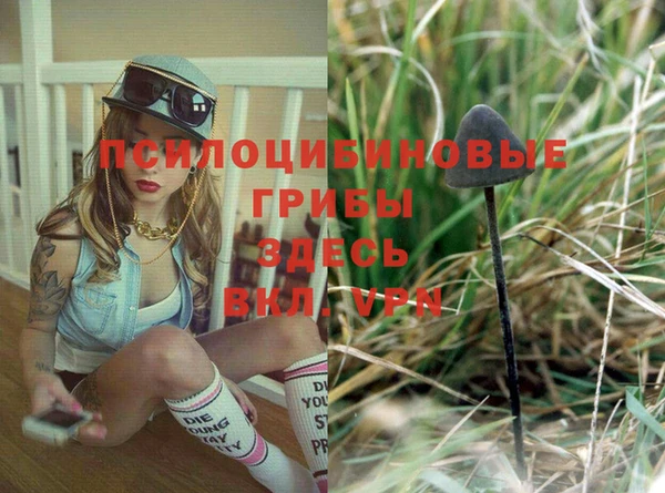 мяу мяу мука Алексеевка