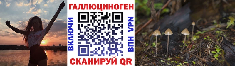 закладки  Кремёнки  МЕГА как войти  Галлюциногенные грибы Cubensis 